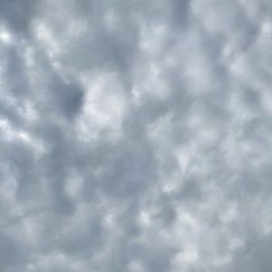 Meet your Posher, Sierra